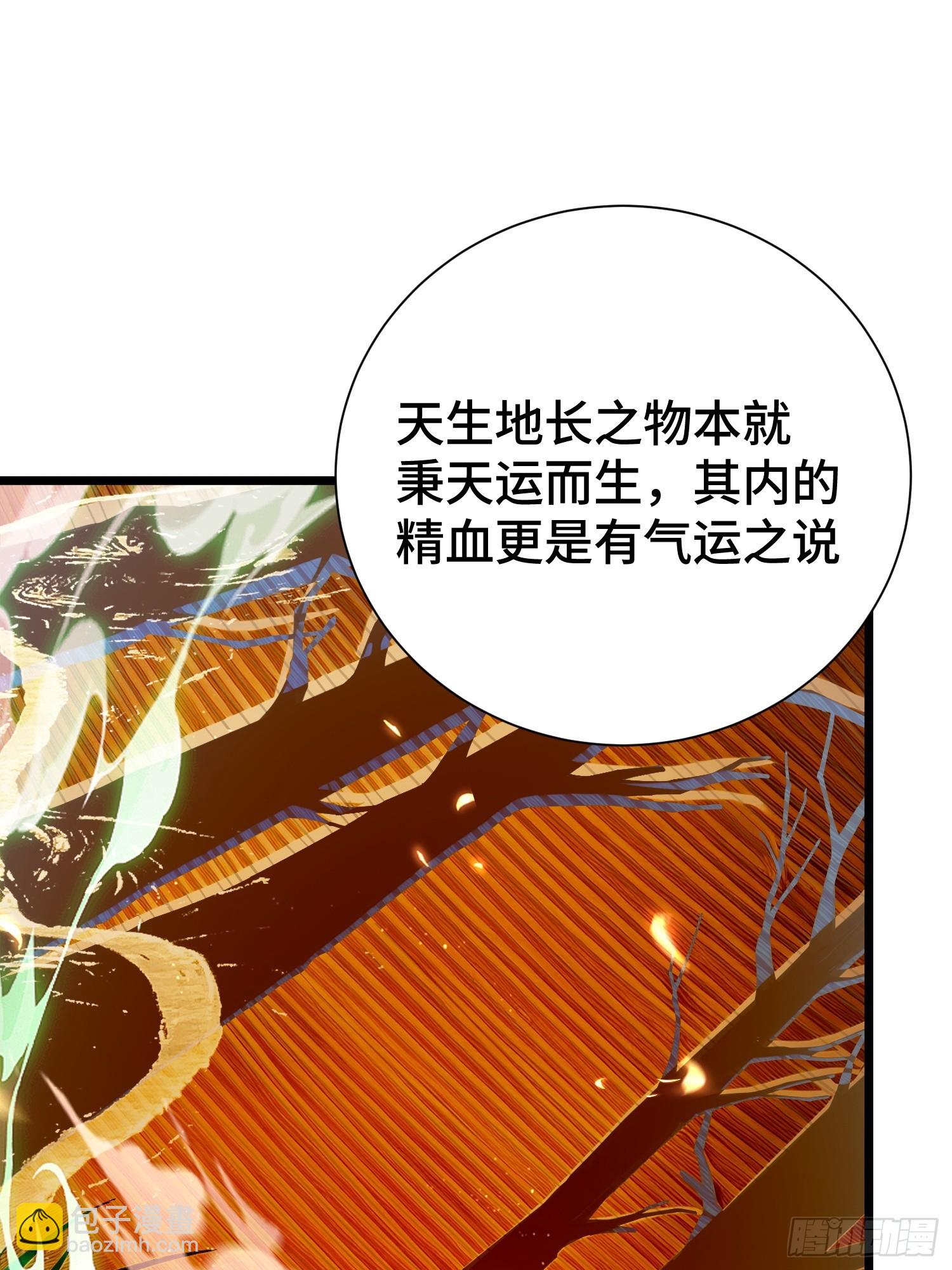 49.命格(1/2)-第51话