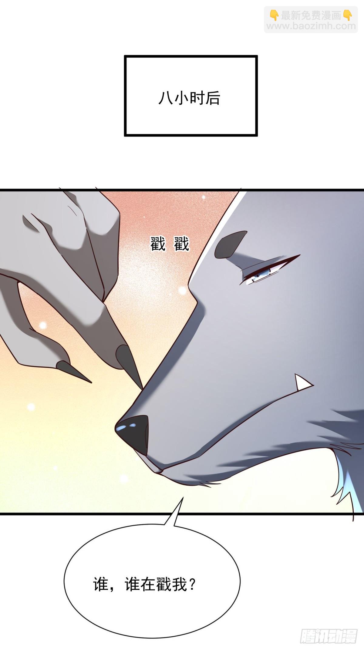 5：我的小弟-第5话