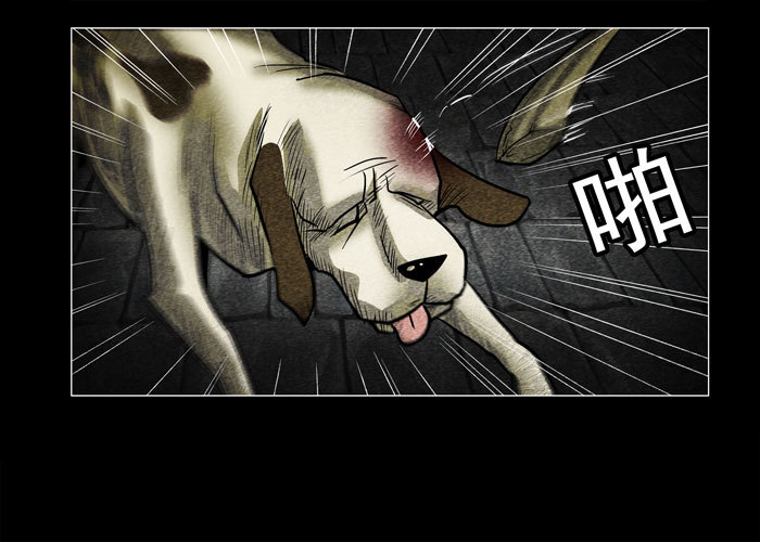 老狗01-第33话