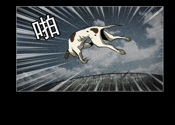 老狗01-第33话