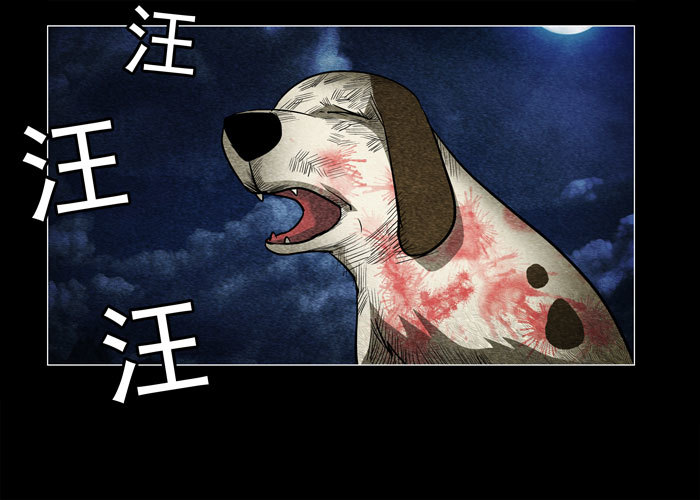 老狗07-第39话