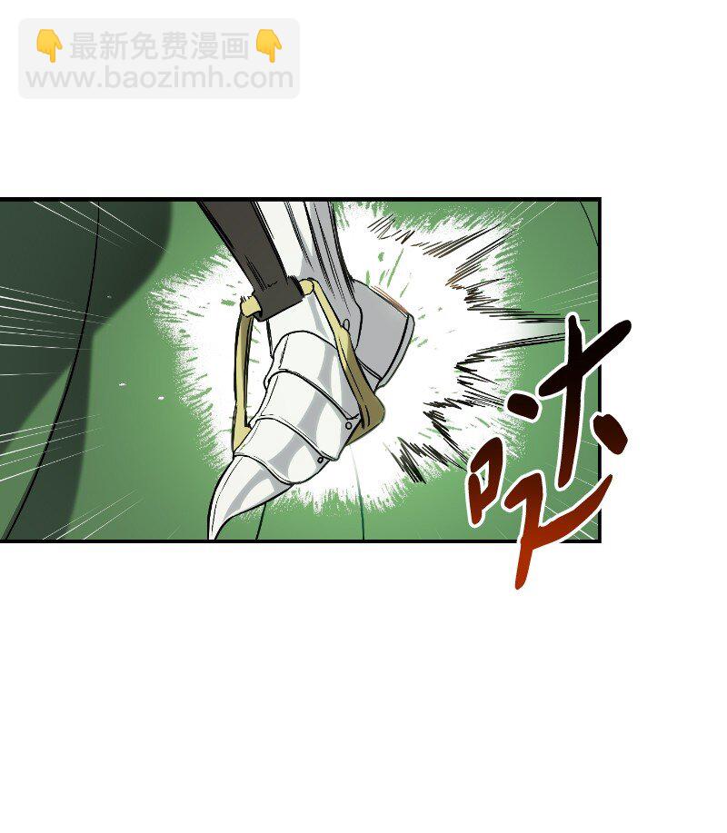 39 骑士的玫瑰(1/3)-第41话