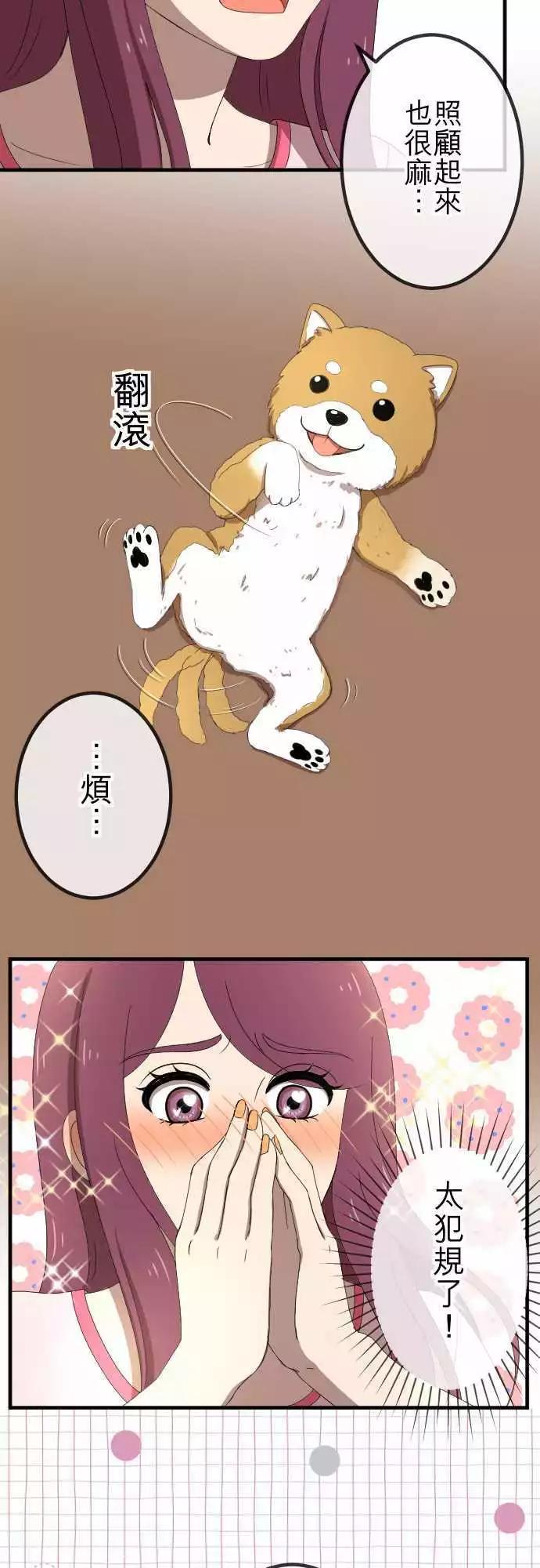第46回 收养-第45话