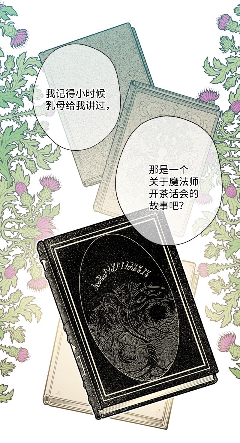 20 魔法师的茶话会(1/2)-第21话