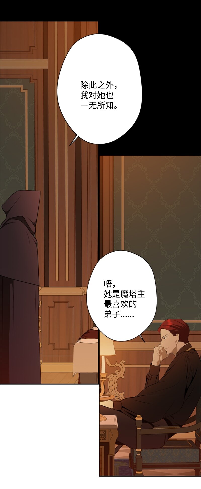 28 偷偷出府买小说(1/2)-第29话