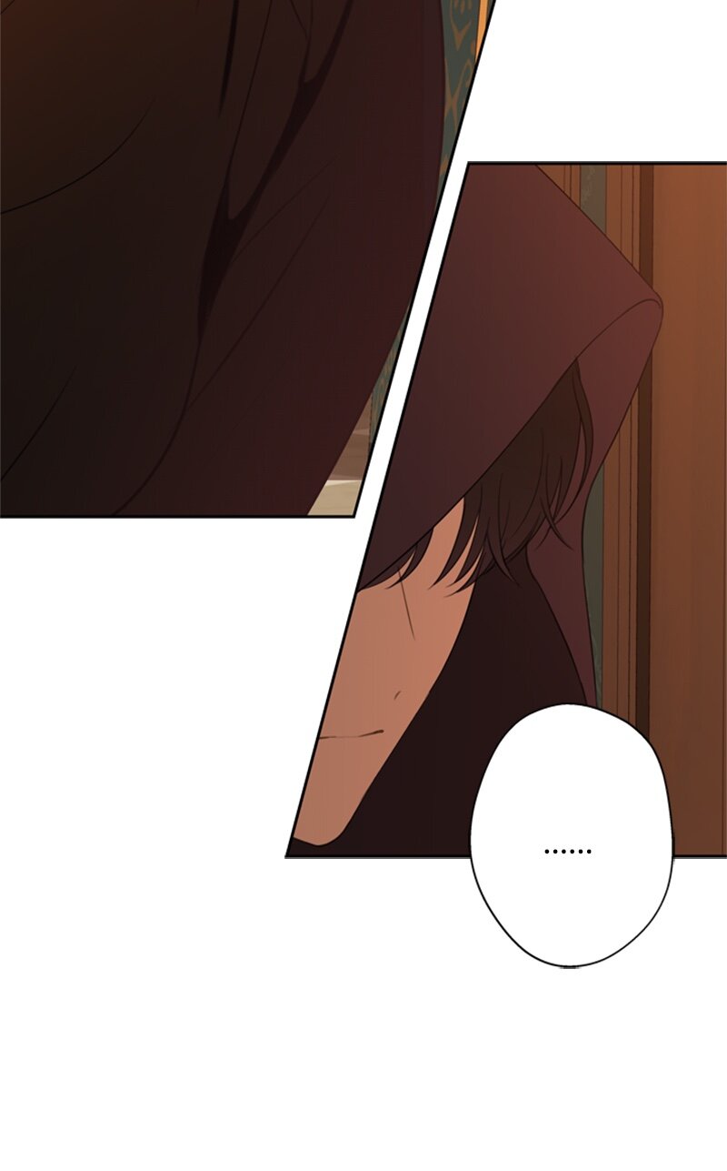 28 偷偷出府买小说(1/2)-第29话