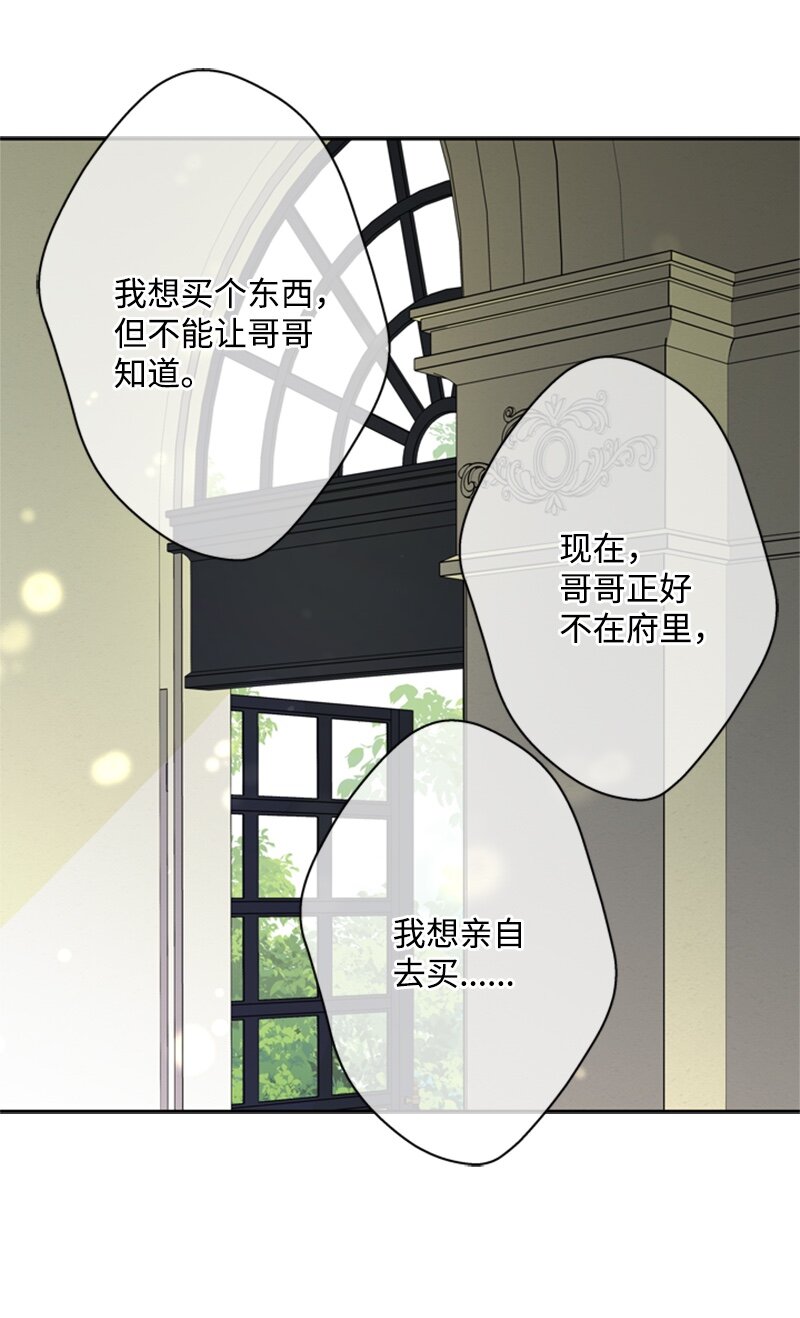 28 偷偷出府买小说(1/2)-第29话