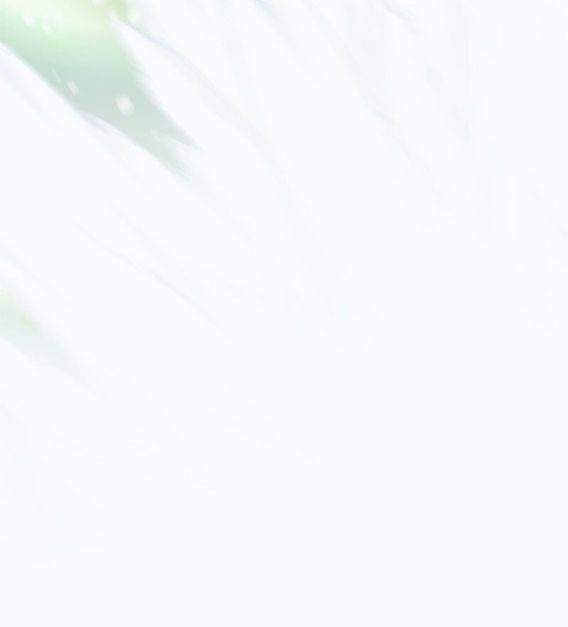 34 森林大战泰利安(1/2)-第35话