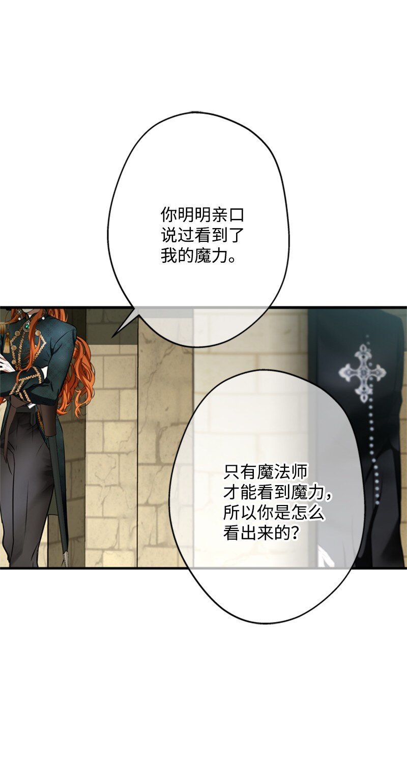 50 神官竟是魔法师(1/3)-第51话