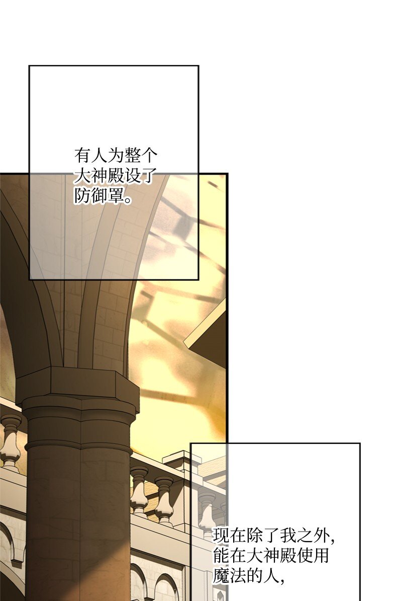 54 大神殿遭遇攻击(1/2)-第55话