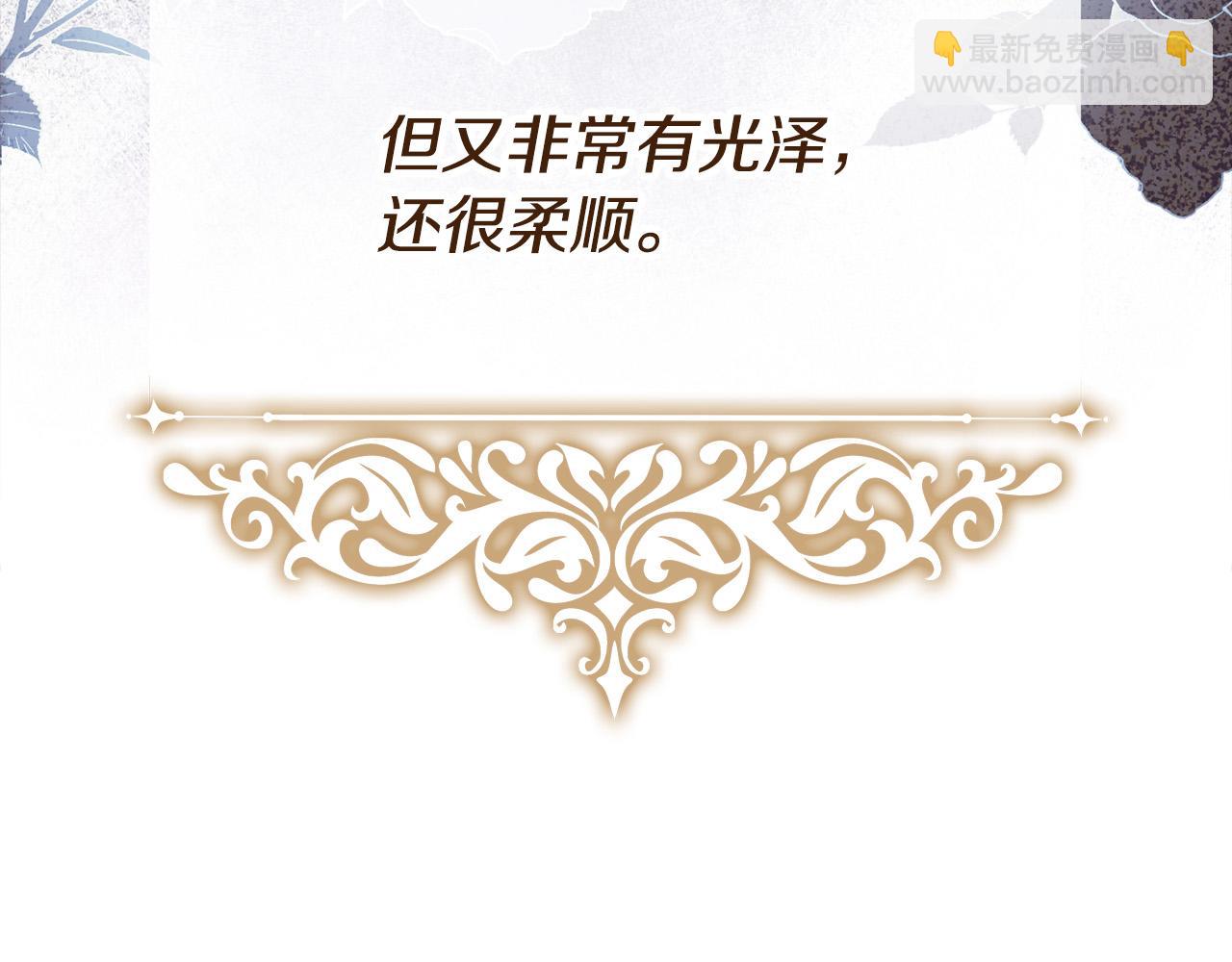 第一季完结话 当大马，驮老婆！(1/6)-第31话