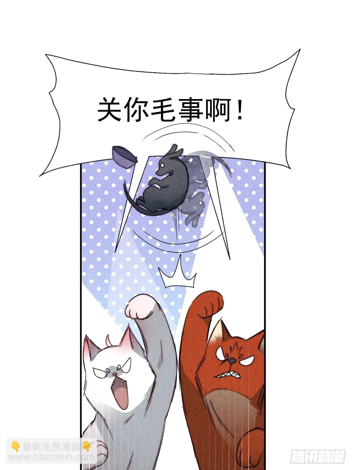 41.狐狗并一窝-第43话