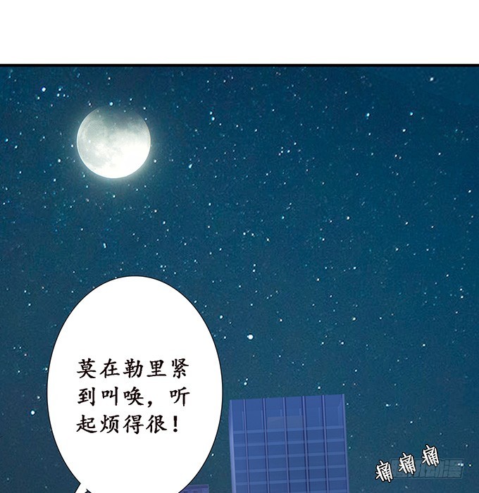 回忆亦是梦(1/2)-第71话