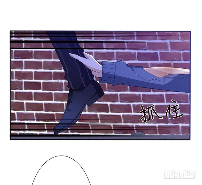 宠臣的合谋(1/2)-第73话