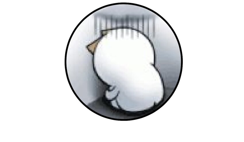 43 被发现了-第43话