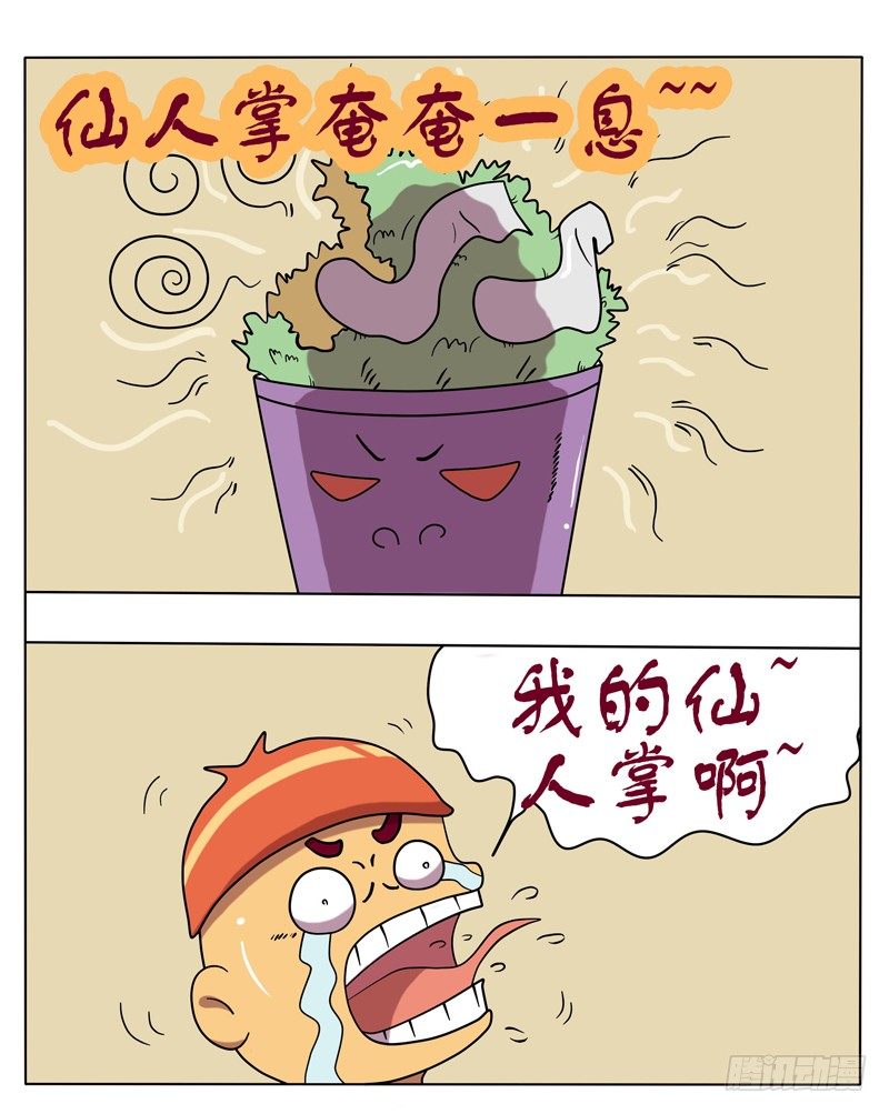 可怜的仙人掌-第23话