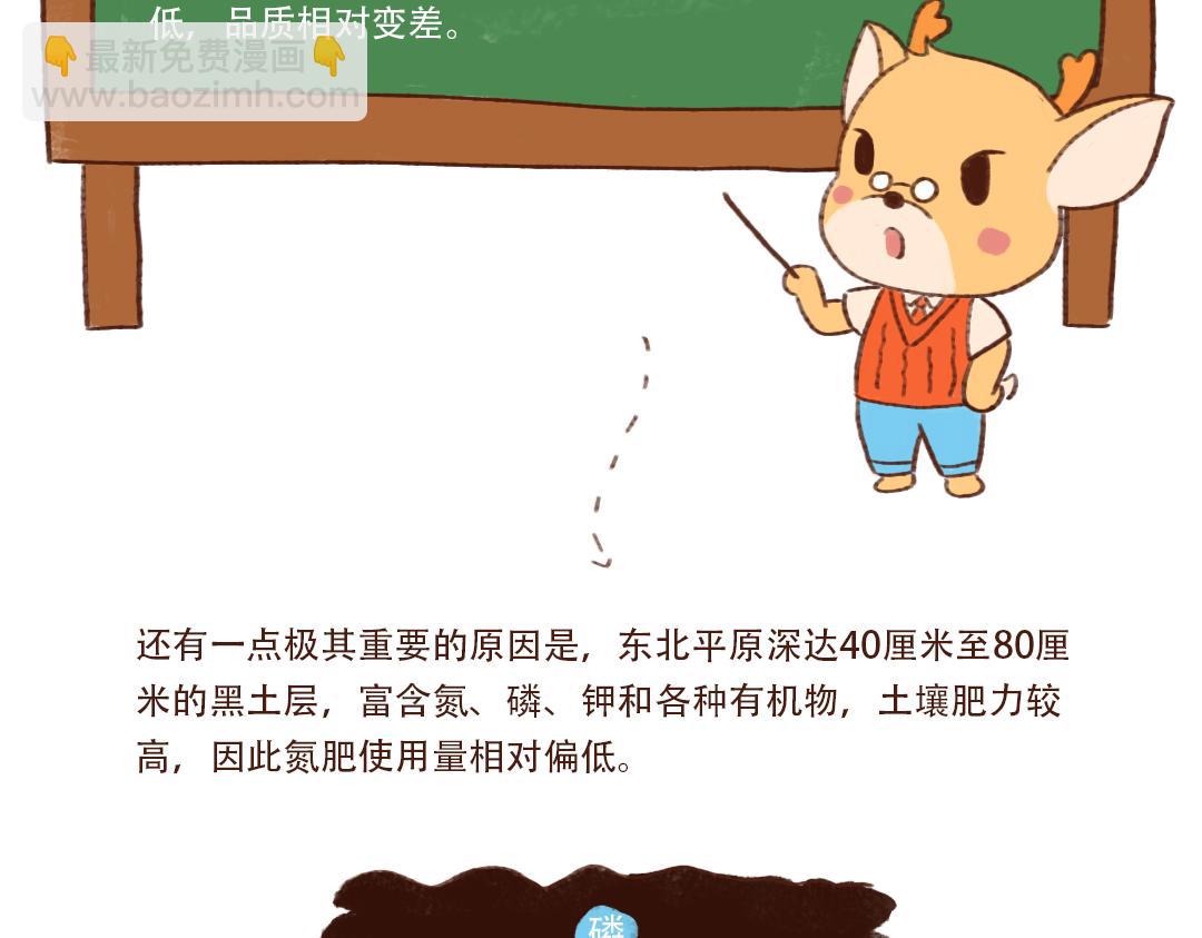 为什么东北的大米比较香-第9话