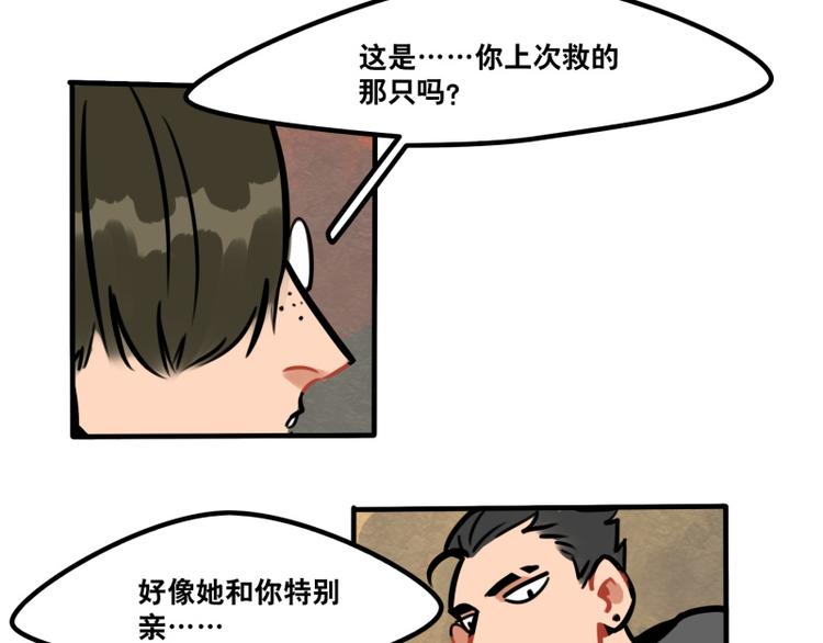 第39话 它们这么可爱！-第41话
