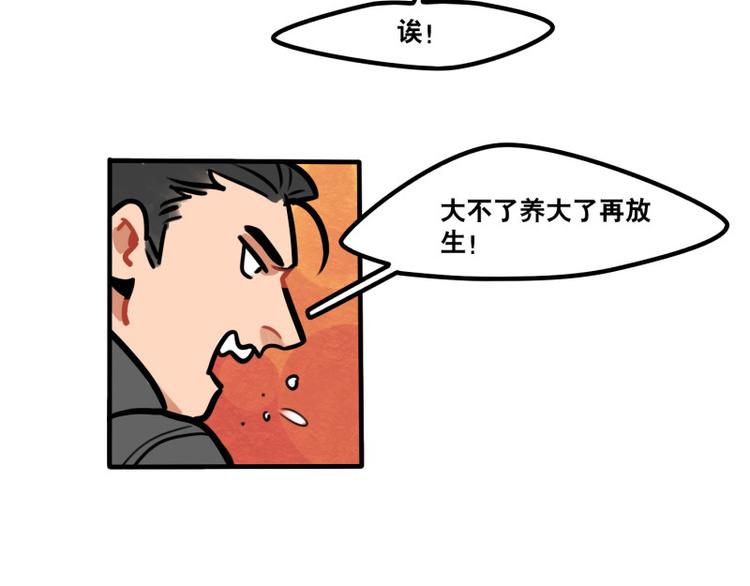 第39话 它们这么可爱！-第41话