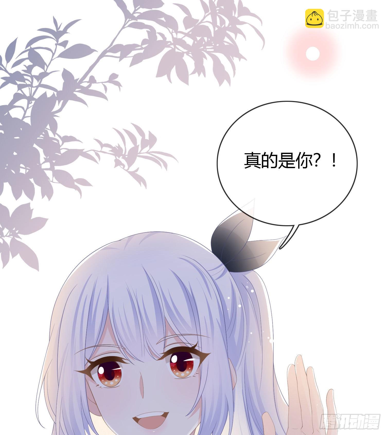 一杯就倒的聂宸也-第29话
