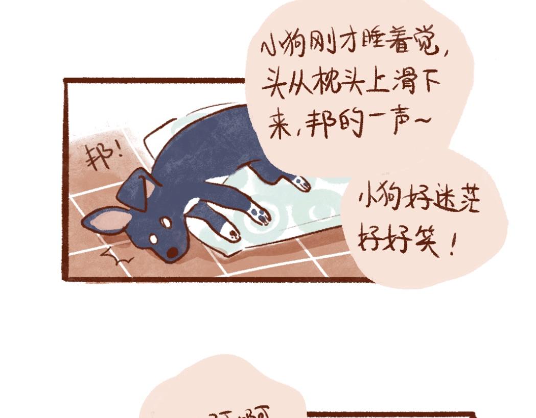 100 犯错小狗荣归故里！-第101话