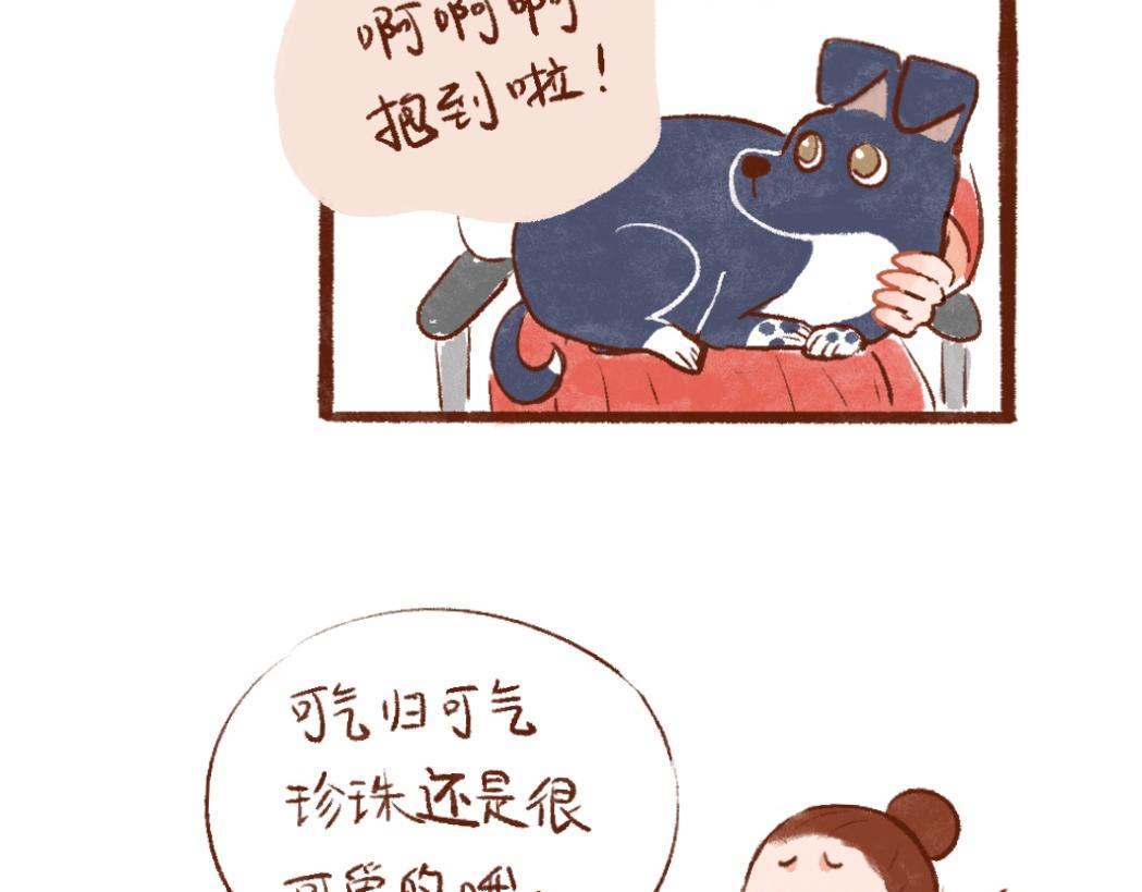 100 犯错小狗荣归故里！-第101话