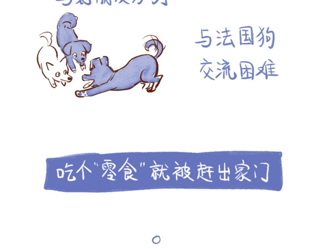 100 犯错小狗荣归故里！-第101话