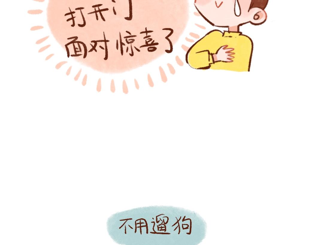 100 犯错小狗荣归故里！-第101话