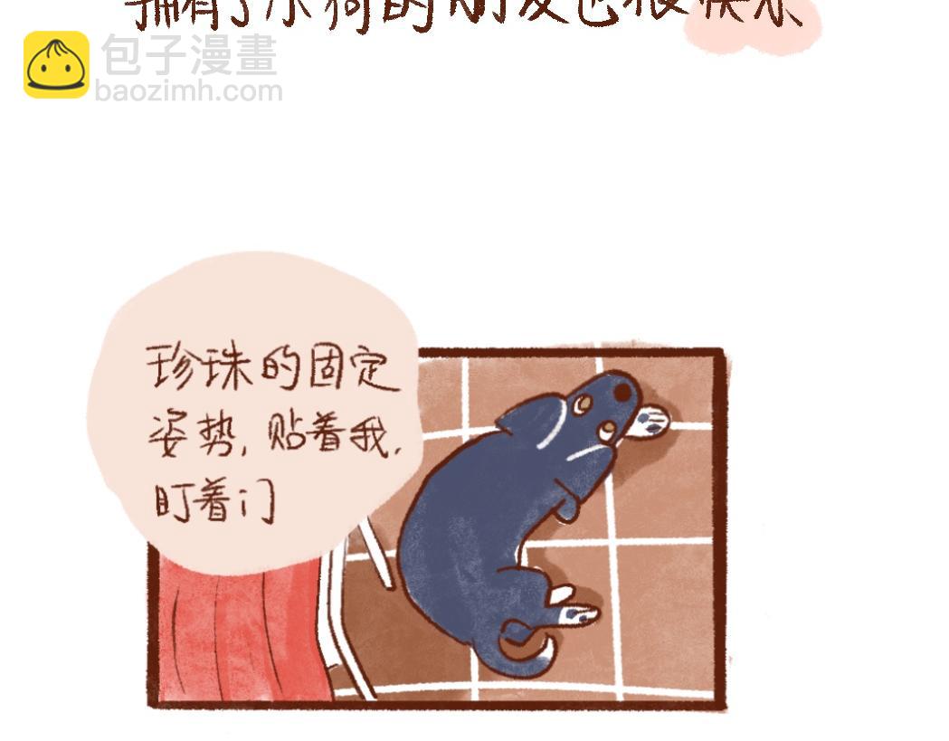 100 犯错小狗荣归故里！-第101话