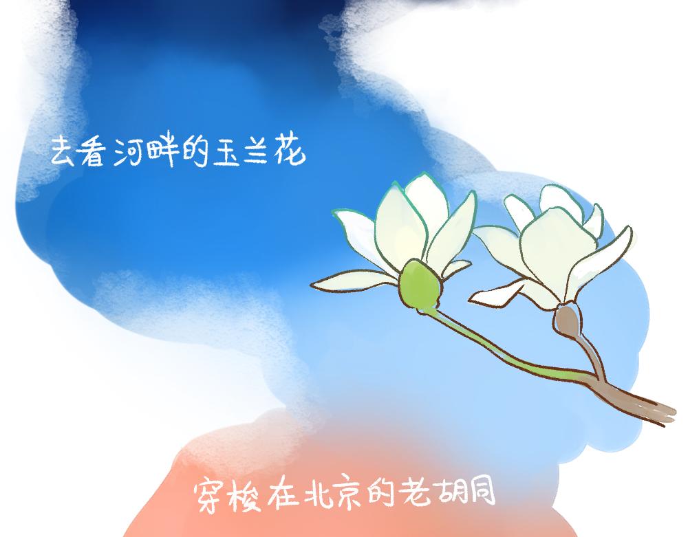 050 《单身研究报告》的报告-第51话
