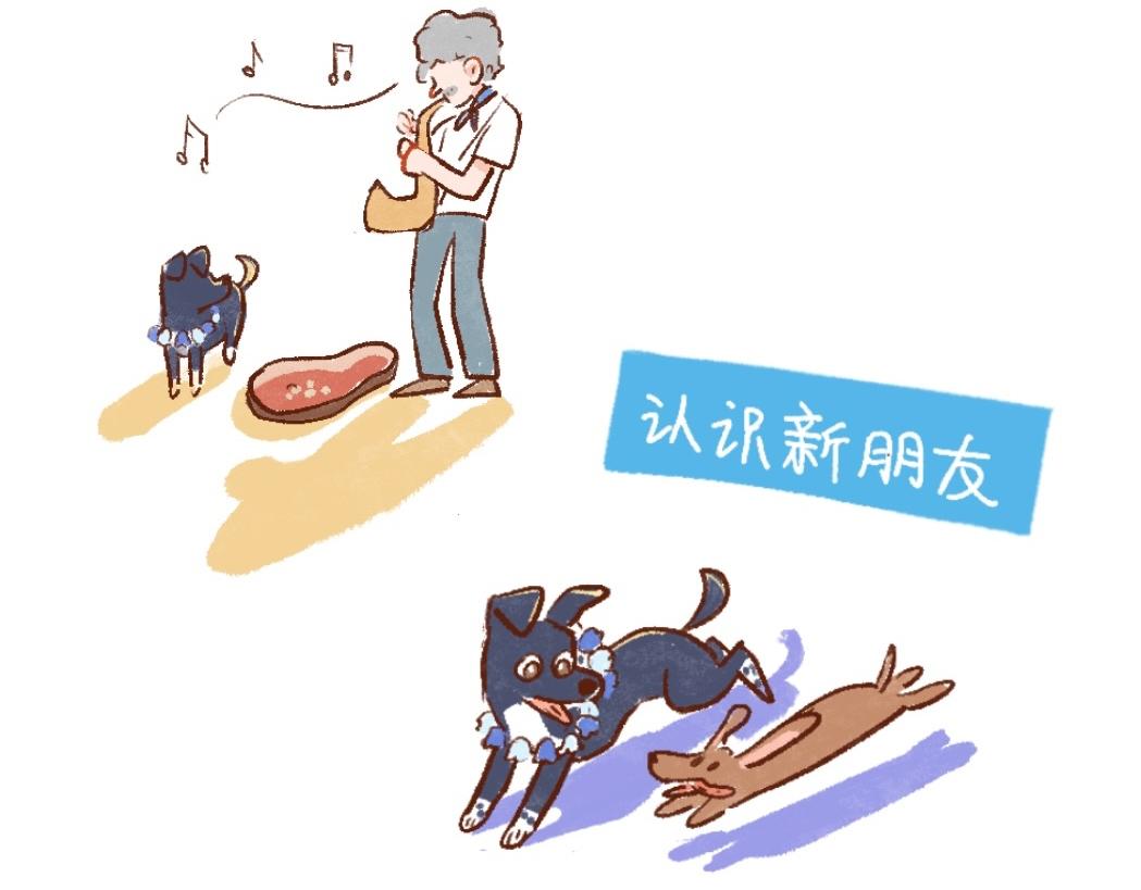 094 小狗去海边旅游啦！-2-第95话