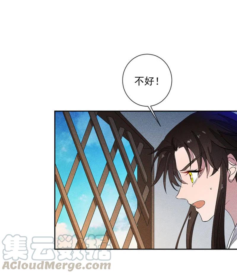 舍命营救-第219话