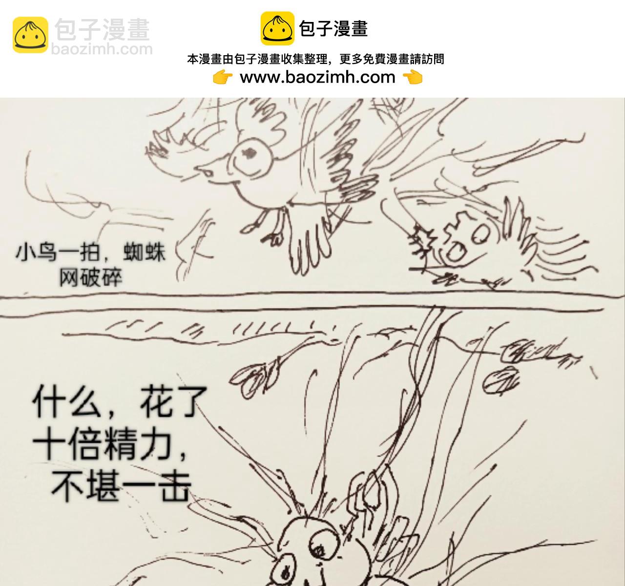 蜘蛛想拥有一双翅膀-第11话