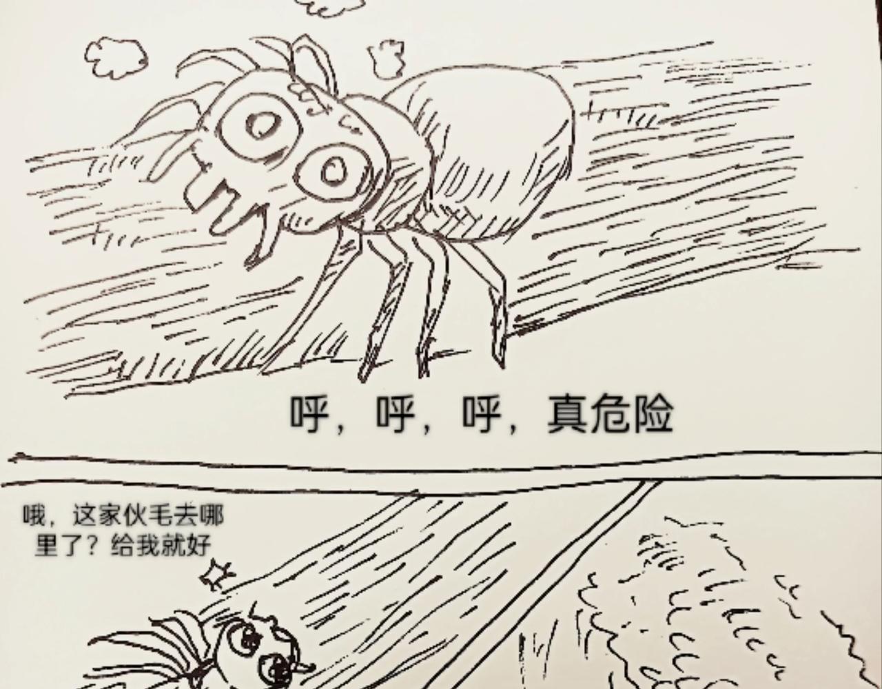 蜘蛛想拥有一双翅膀-第11话