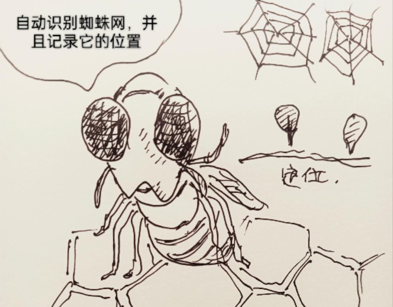 蜘蛛想拥有一双翅膀-第11话