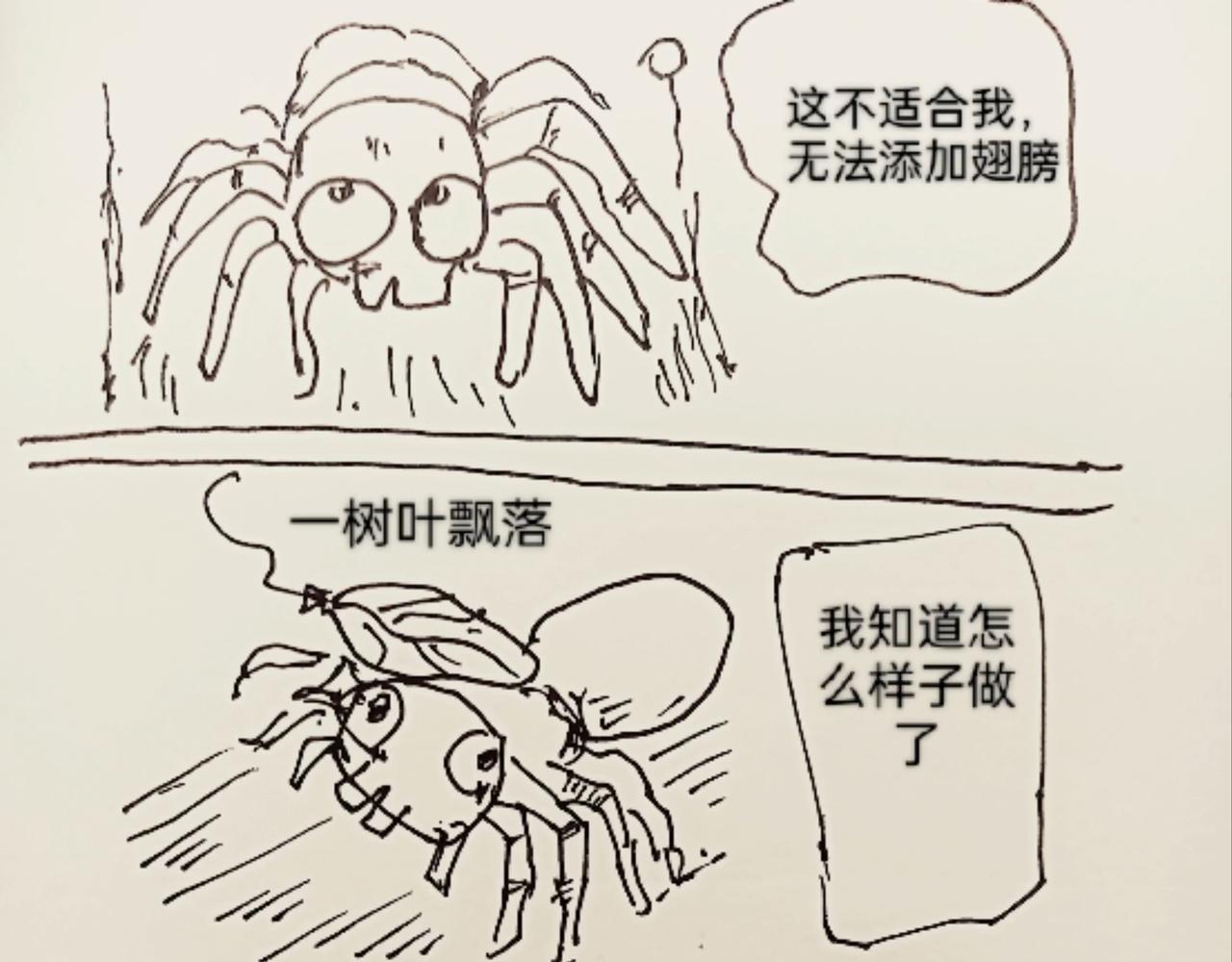 蜘蛛想拥有一双翅膀-第11话