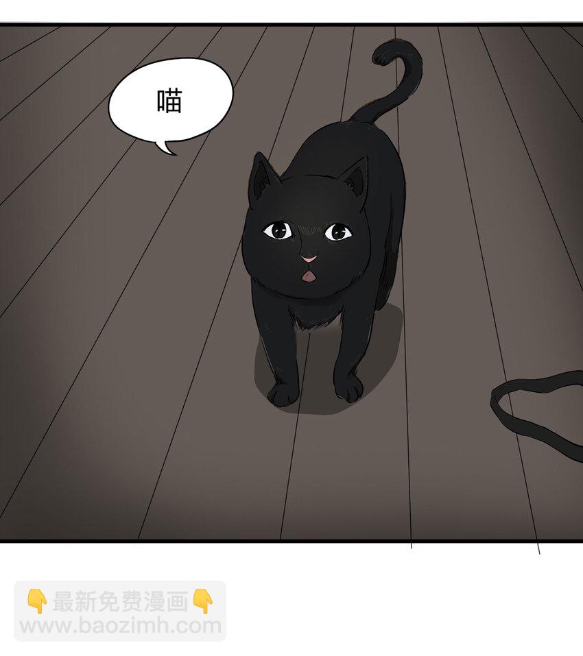 004 会作揖的猫-第5话