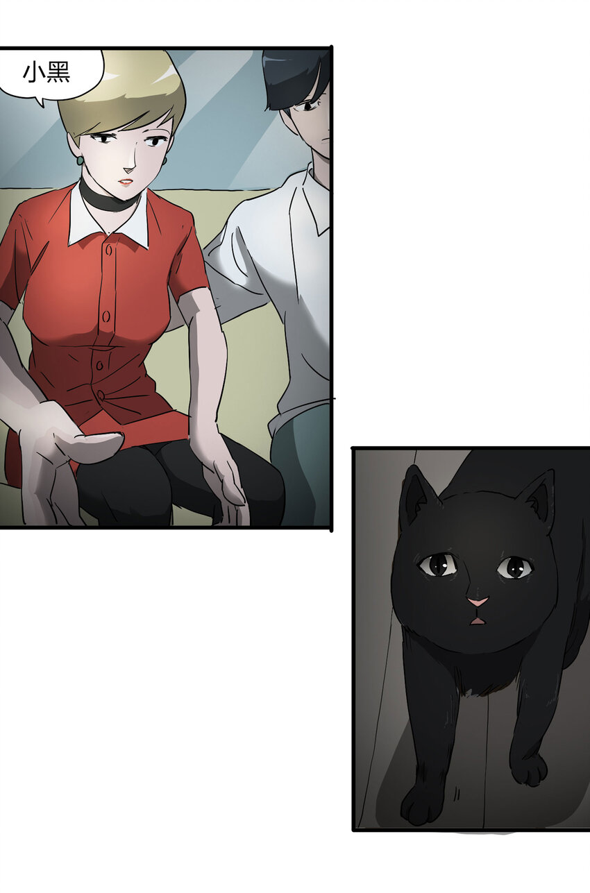 004 会作揖的猫-第5话