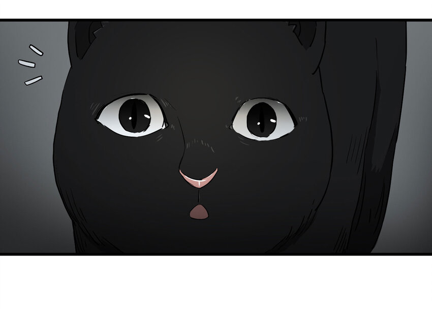 004 会作揖的猫-第5话