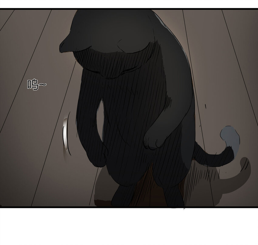 004 会作揖的猫-第5话