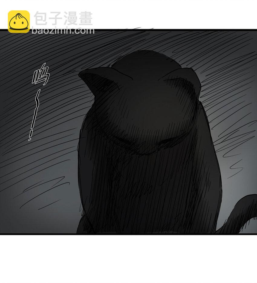 004 会作揖的猫-第5话