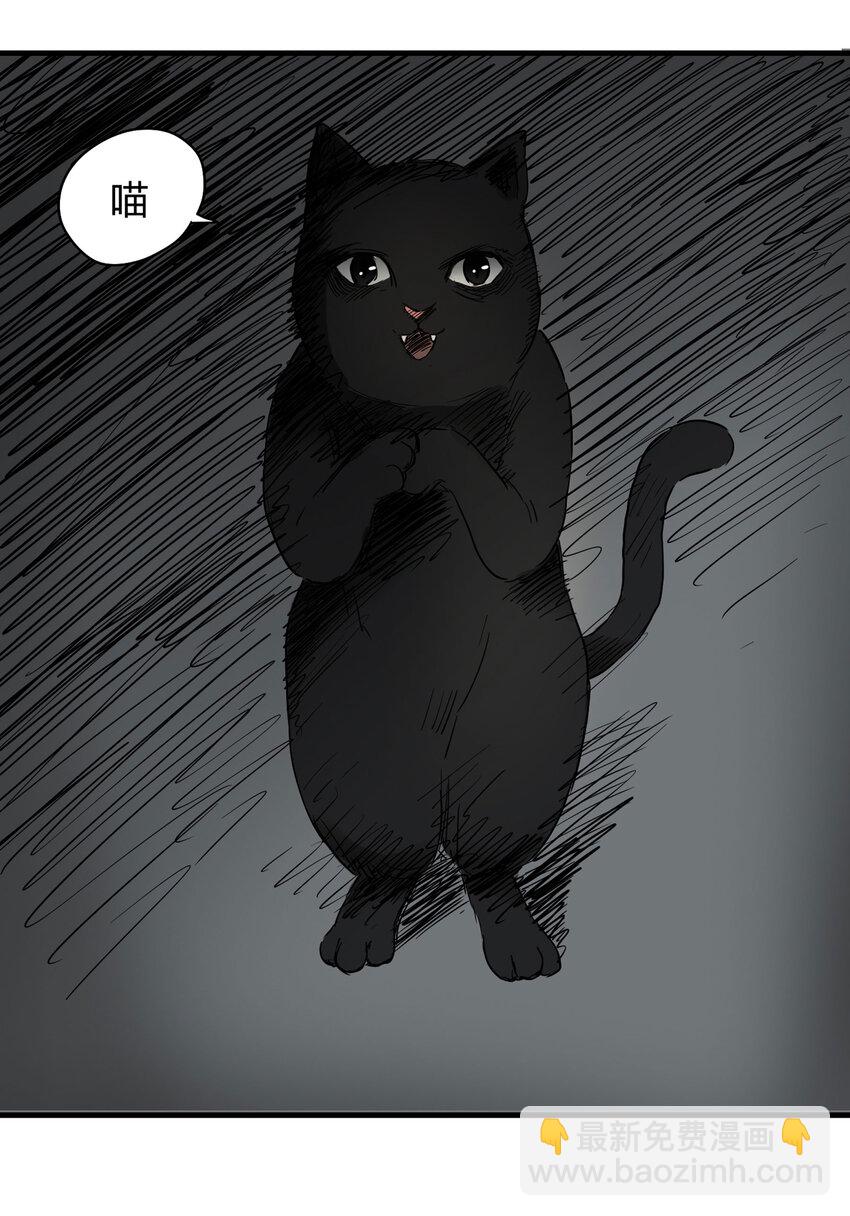 004 会作揖的猫-第5话