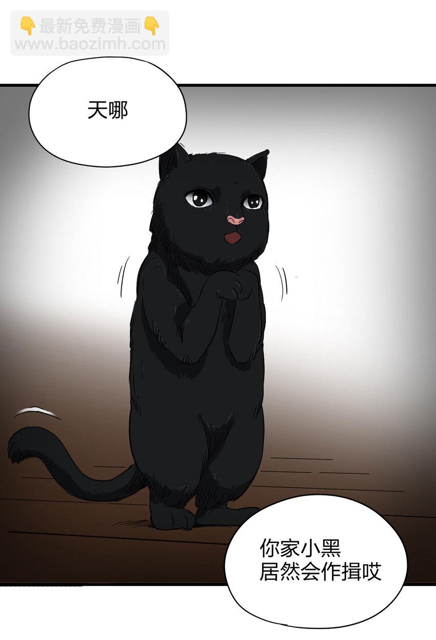 004 会作揖的猫-第5话