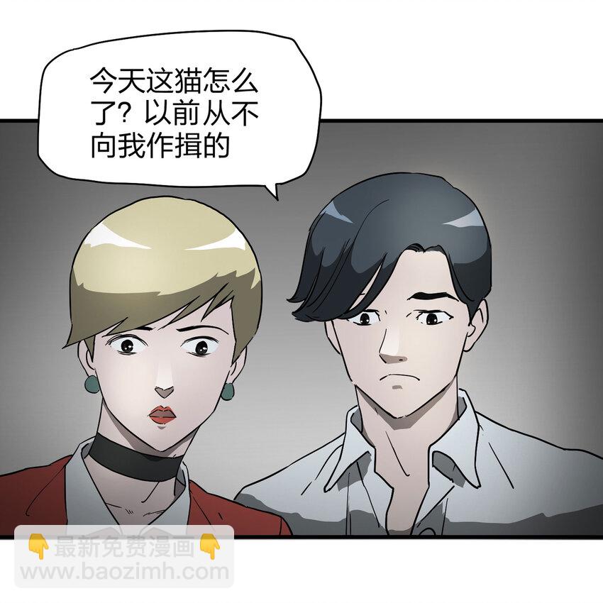 004 会作揖的猫-第5话