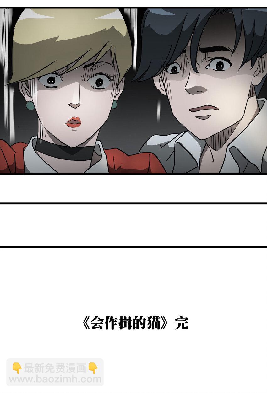 004 会作揖的猫-第5话