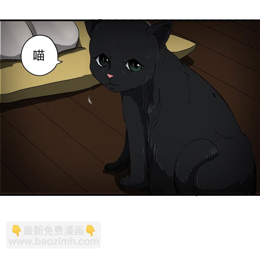 004 会作揖的猫-第5话