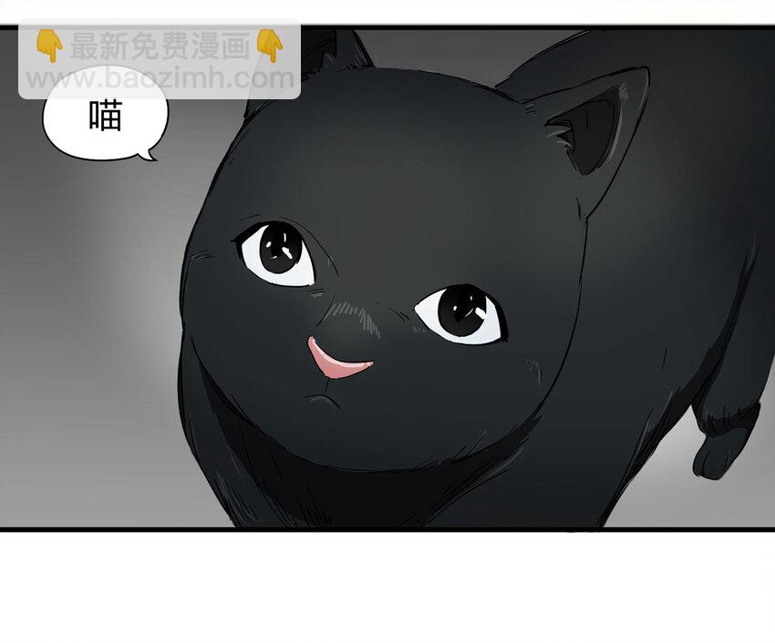 004 会作揖的猫-第5话
