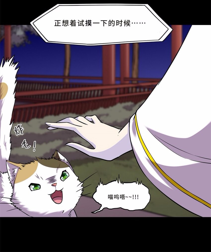 044 养猫（四）(1/2)-第51话