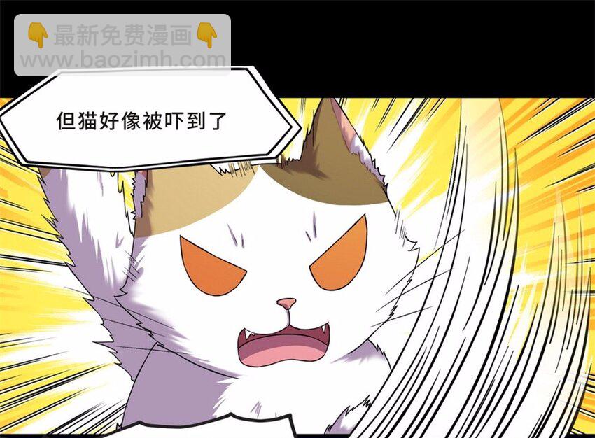 044 养猫（四）(1/2)-第51话