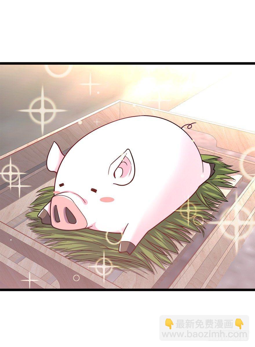 🍼大王饶命 24 猪，快跟我回家~ 第25页